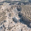 올리브 농장 이미지