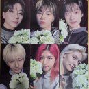 [콘서트] 250504 엑디즈 콘서트 &lt;Beautiful Mind&gt; World Tour in SEOUL 머글시선 후기
