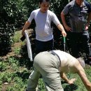 탐라목장 이미지