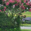 송계농장 이미지