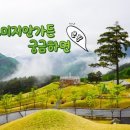 샘골가든 | 정선군 소재 자연유산 천연기념물 정보