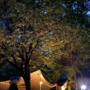 공작산계곡 오토캠핑장 이미지