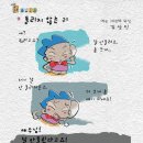 새벽닭 이미지