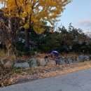 은해 농장 이미지