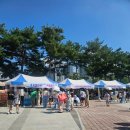 금창동새마을부녀회 | [김천2025새마을×환경페스타] 재밌었던 축제 후기