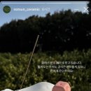낯선세라믹