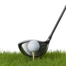 다인스크린골프 이미지