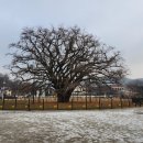 장수서창동-2 이미지