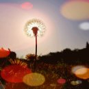 성안드레아 병원 이미지