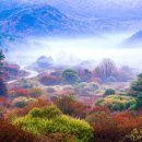 비밀의 정원 이미지