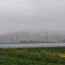 부여하늘농장 이미지