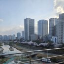 추동로 | 의정부 신점 추천 금령군 애동 상담 후기, 사업운부터 연애운까지 소름돋는 점사