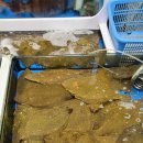 서천서해안횟집 이미지