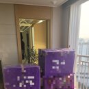 쏘봉 | 전주 이사후기