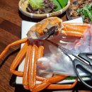 팔딱팔딱회 | [내돈내산]대구 수성구 맛집 "팔딱팔딱회" 솔직한 후기(+분위기좋은술집, 데이트 추천)