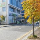 참한식뷔페 | 배방역 한식뷔페 사계절밥상한식뷔페 후기