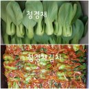 청경채/ 적환무/ 실파/ 쪽파/ 돌산갓/ 홍갓 이미지