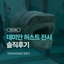 이룸약품(주) | [백프로일상] 국립현대미술관 데미안 허스트 전시 관람 후기 / BTS 사운드 큐브 (솔직후기)