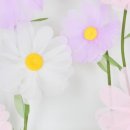 젤리빈스튜디오