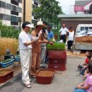 도심초등학교 이미지