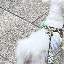 백슬동물병원 이미지