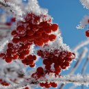 지에스 노형대림점 이미지