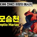 23년 8월15일(성모 승천 대축일) 독서와 복음 나눔 - 광복절 이미지