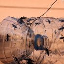 중선농장 이미지