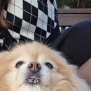 지평농업협동조합 하나로 마트 이미지