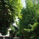 곽지올레 이미지