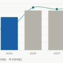 시현자화