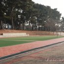 대천에코펜션 이미지