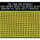 시흥비젼센터 이미지