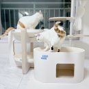 고로고로펫 이미지