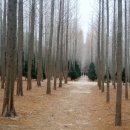 영해자동차정비 이미지