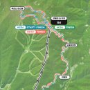 모여라 댕댕 이미지