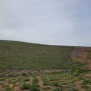 죽암리고분 이미지