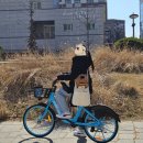 [시흥/배곧] 스파게티, 파스타 전문점_ 멜랑제 (솔직한 내돈내산 후기)