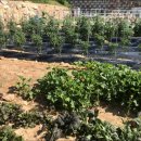 풀펜션 워라밸 이미지