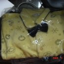 베베앙슈 이미지