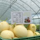 신명농장 이미지