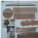 흙과나무