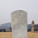 이경희 선생 묘 이미지