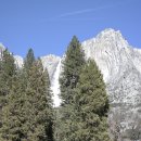 요세미티 국립공원(Yosemite National Park) (2/2) -마지막편- 이미지