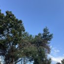 서초대로27길 10-3 이미지