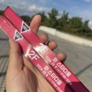 안산 페스타 슈퍼 콘서트 후기(불꽃놀이, n구역시야)