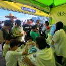 바라던바다 이미지