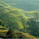 (주)삼가 이미지