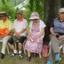 장미농장 이미지