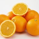 오렌지 이미지